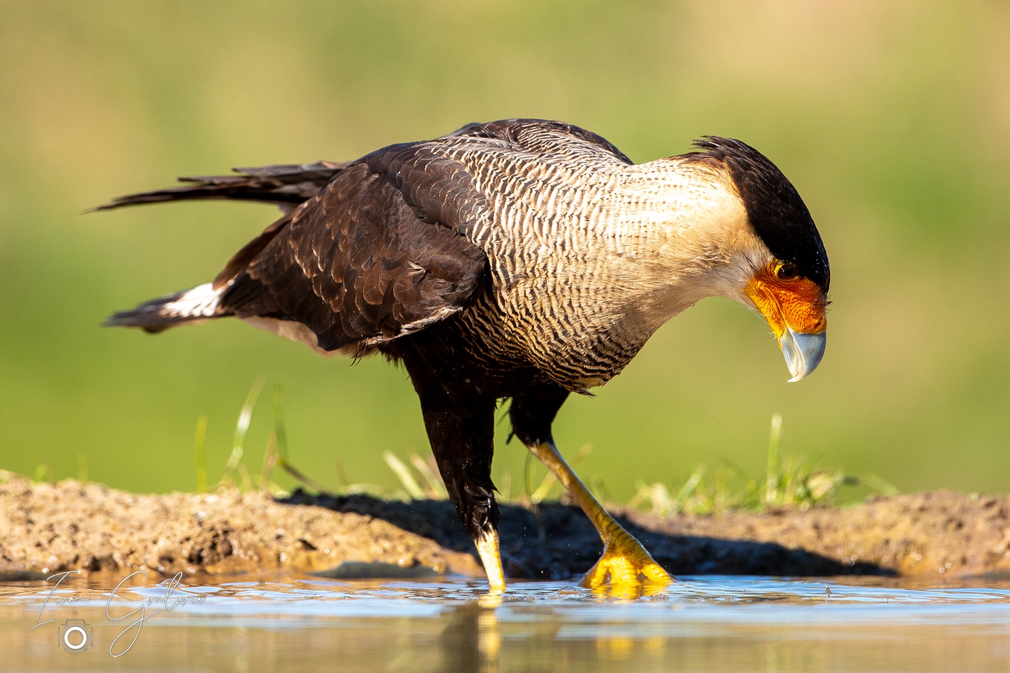 27 maart 2022 145646  5D45069